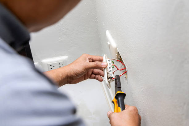 Best Electric Panel Repair  in Lake Ozark, MO